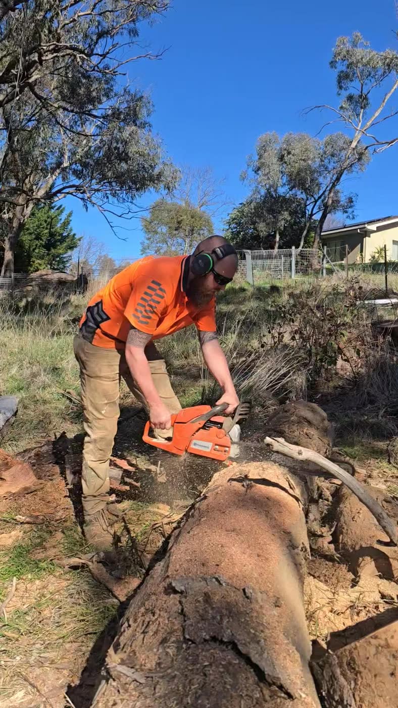Dylan on a tree removal in Orange