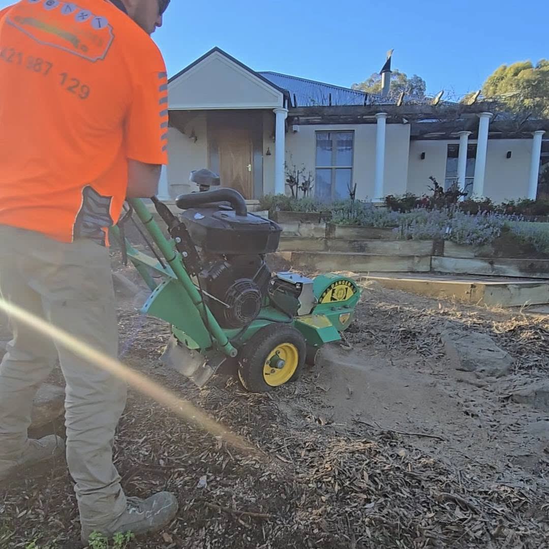 Dylan Holloway operating a stump grinder