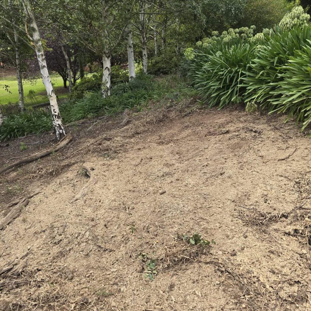 Neatly mowed grassy slope beside a house
