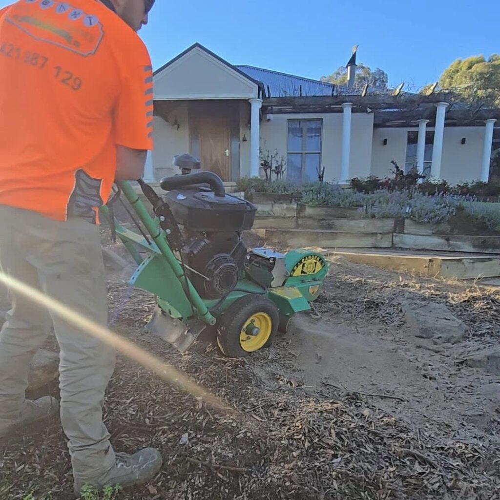 Worker in hi-vis operating a stump grinder in a front yard